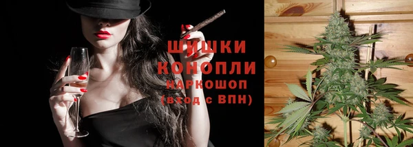 тгк Бородино