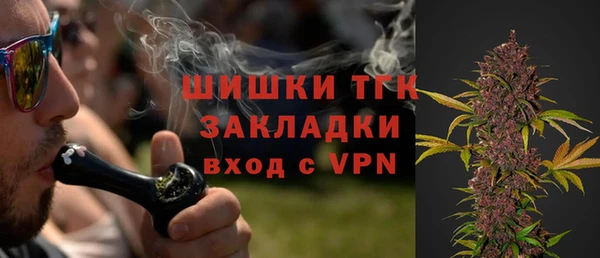 тгк Бородино