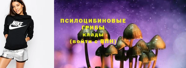 тгк Бородино