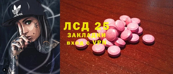 тгк Бородино
