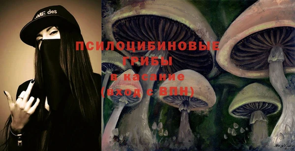шишки Бугульма