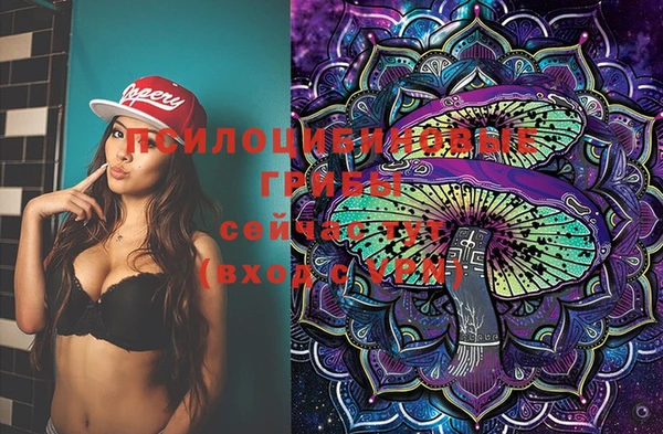 шишки Бугульма