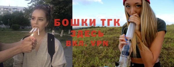 тгк Бородино