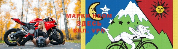 тгк Бородино