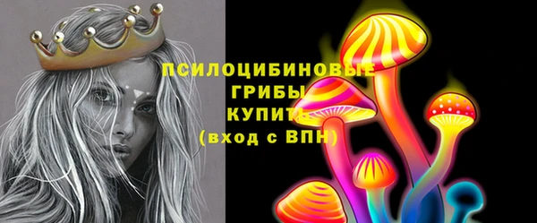 стафф Бронницы